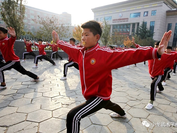 嵩山少林小龙武校
