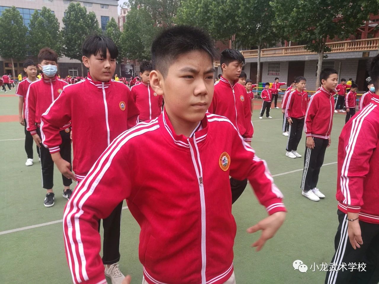 少林小龙武校