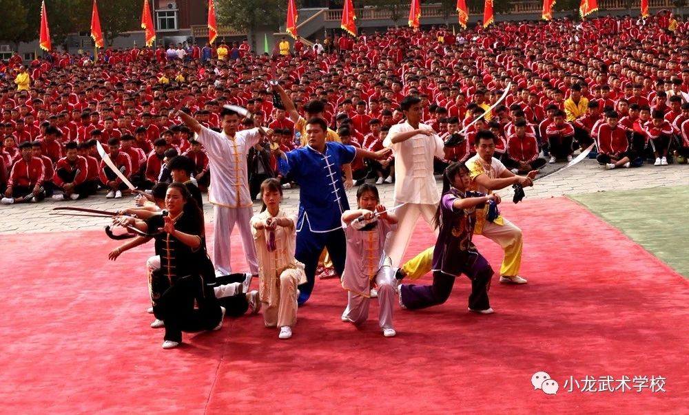 青少年练武好不好呢?有什么好处呢?《武术放飞梦想》(图2) 嵩山少林寺文武学校