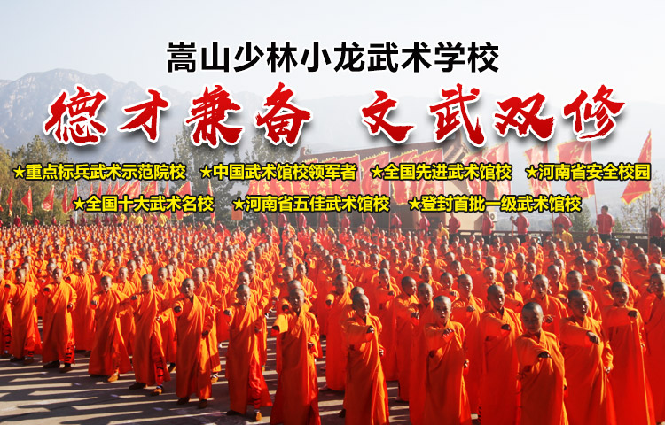 嵩山少林小龙武校