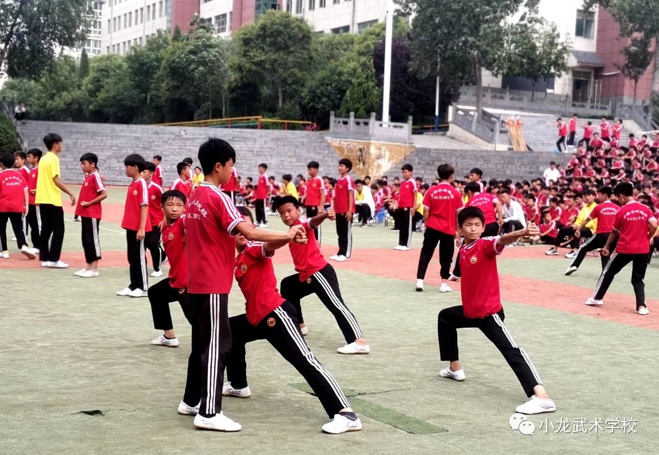少林寺武校:辉煌的历史,光明的前途【武术放飞梦想】(图2) 嵩山少林小龙武校