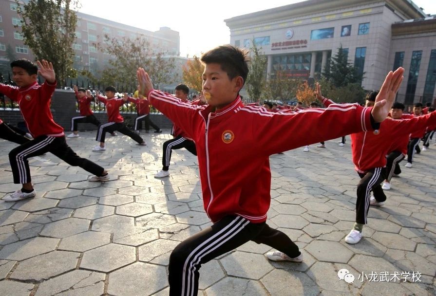 嵩山少林寺小龙武术学校