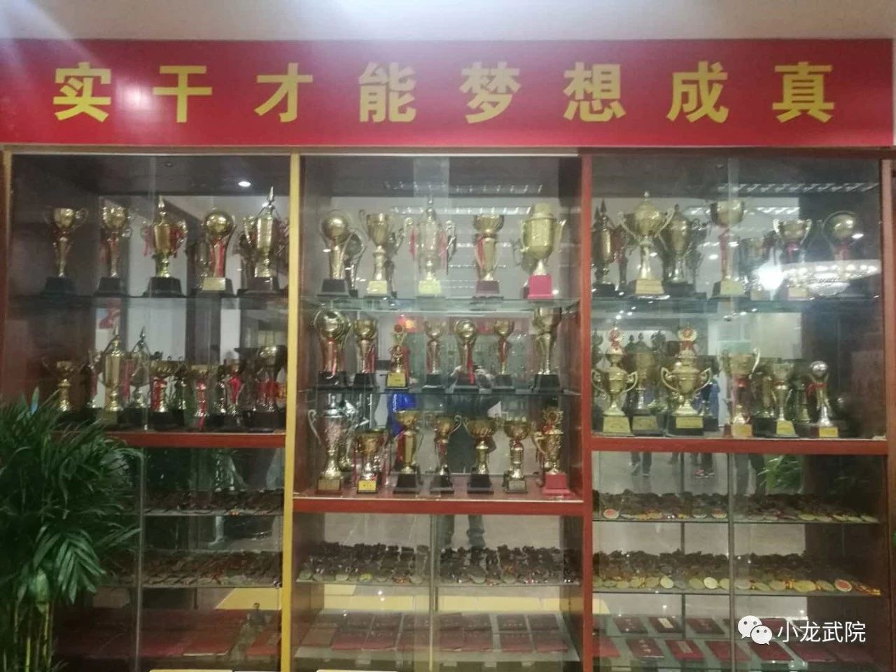 嵩山少林小龙武校