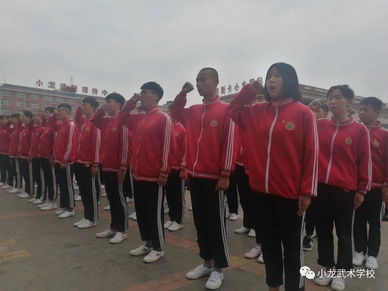 小龙武校
