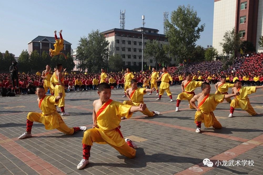 少林寺文武学校招生简章
