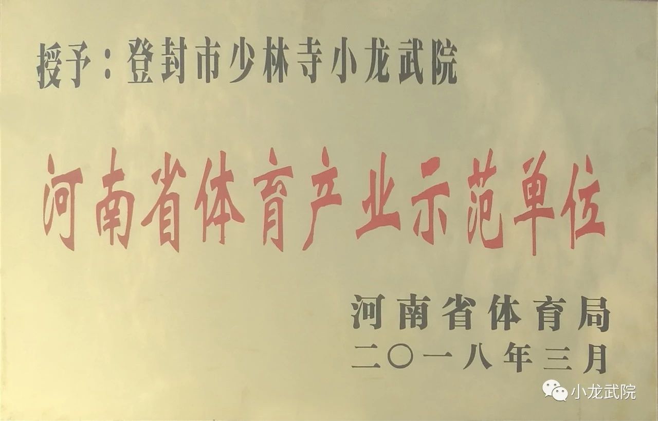 嵩山少林小龙武校