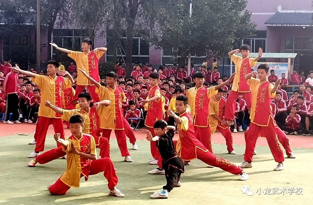 小龙武校