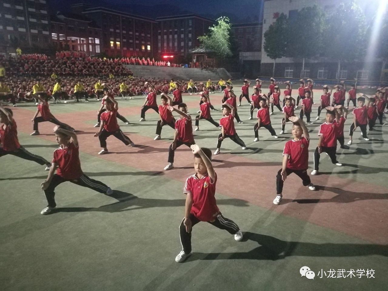 少林小龙武校