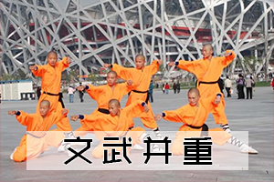 嵩山少林小龙武校