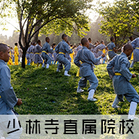 嵩山少林小龙武校