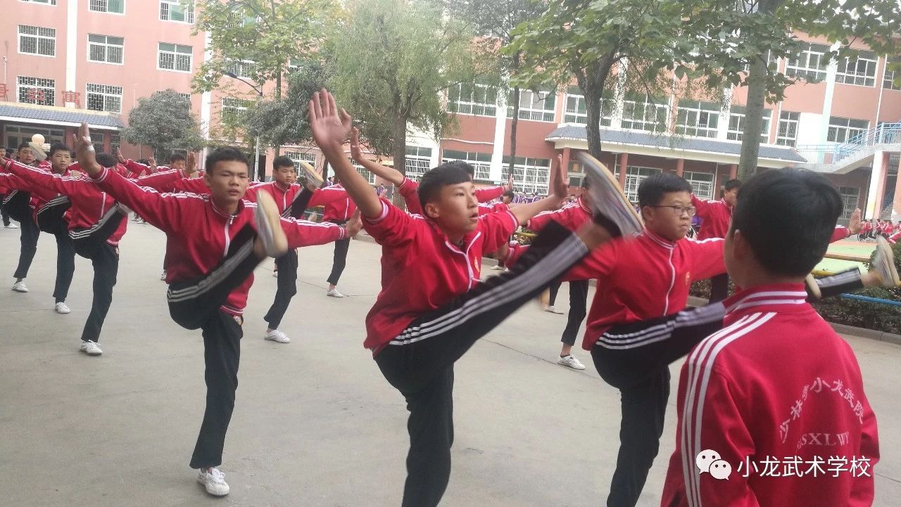 少林寺小龙武术学校