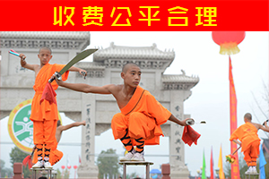 嵩山少林寺武校能学到真功夫吗?-《全国十佳武术学校》(图1) 嵩山少林小龙武校
