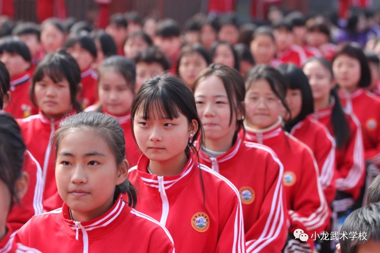 嵩山少林寺武校能学到真功夫吗?-《全国十佳武术学校》(图2) 嵩山少林小龙武校