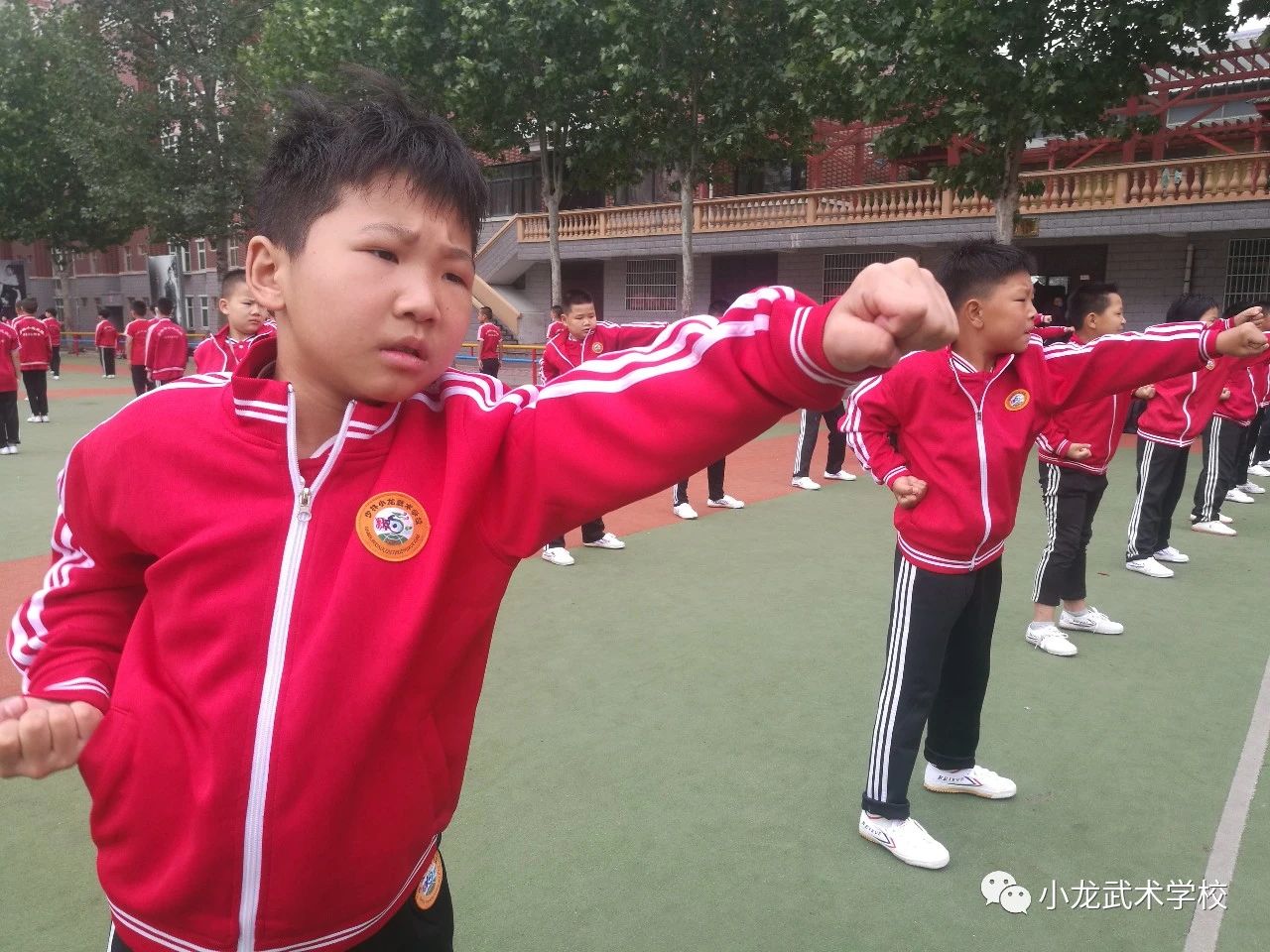 嵩山少林寺小龙武术学校