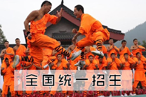 嵩山少林小龙武校