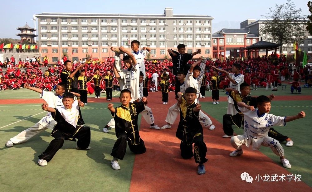 小龙武校