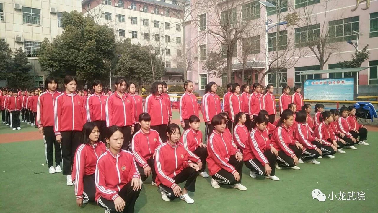 小龙武校