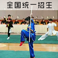 嵩山少林小龙武校