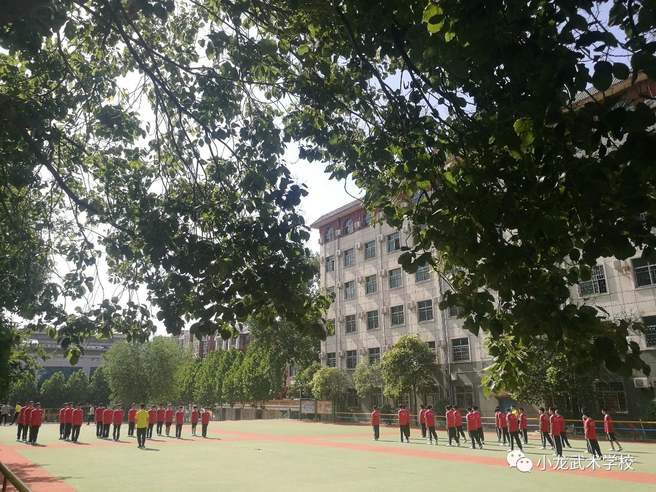 嵩山少林小龙武校
