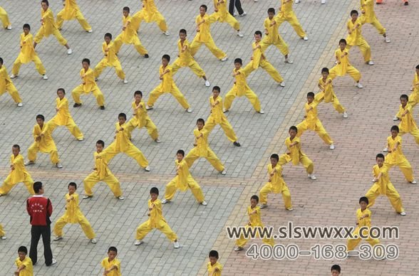 少林寺武术学校的学员在练习武术