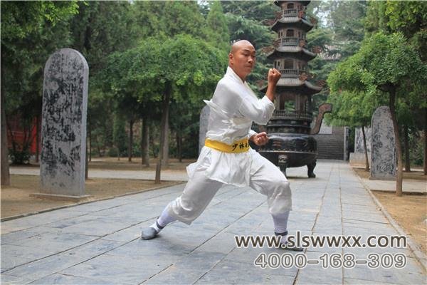 少林寺武术学校的学员在练武