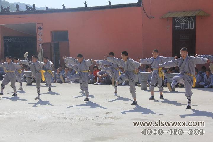 少林寺武术学校的学员在练武