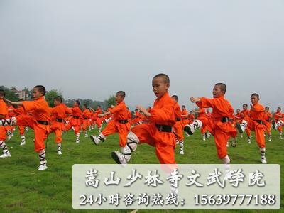 少林寺武术学校的学员在练武