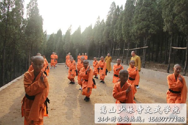 少林寺武术学校的学员在练武