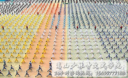 少林寺武术学校的学员在练武