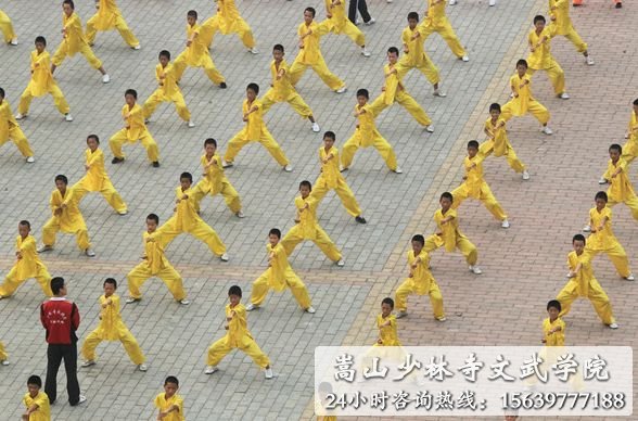 少林寺武术学校的学员在练武
