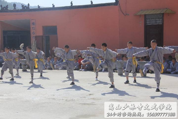 少林寺武术学校的学员在练武