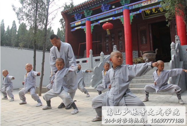 嵩山少林寺武术学校是公办的学校吗?