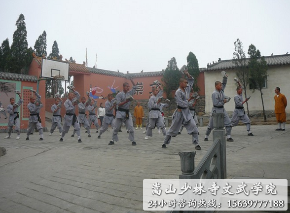 嵩山少林寺武术学校收费