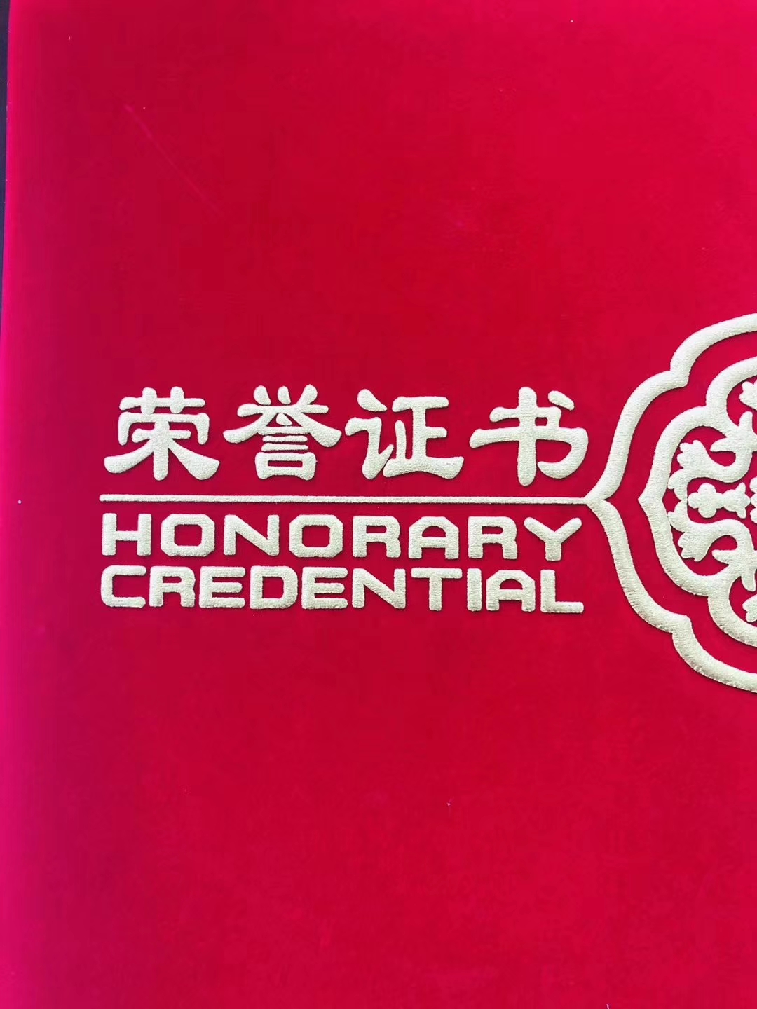 嵩山少林寺文武学校学员荣誉