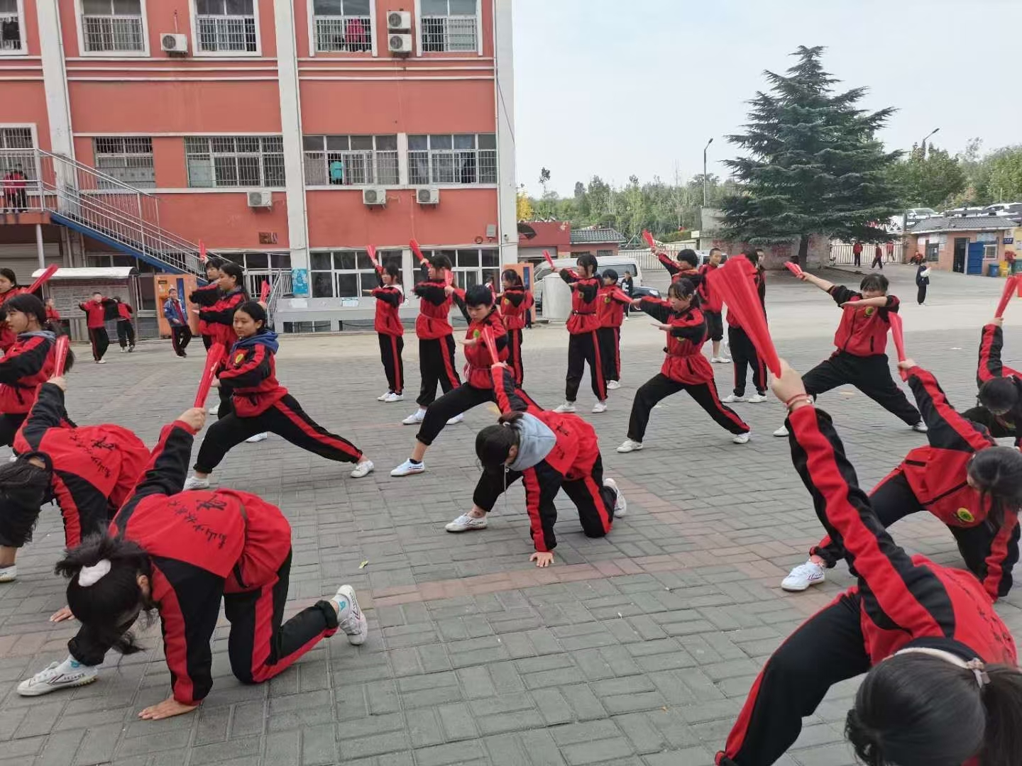 少林寺武校女生习武现场