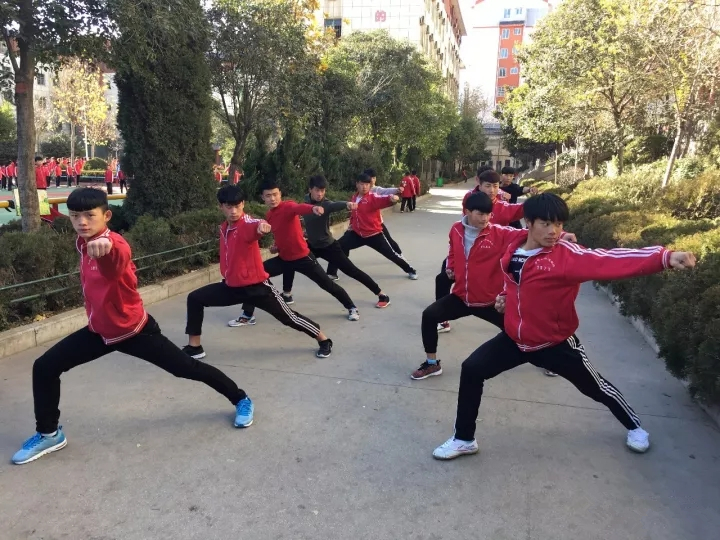 嵩山少林寺文武学校学员荣誉